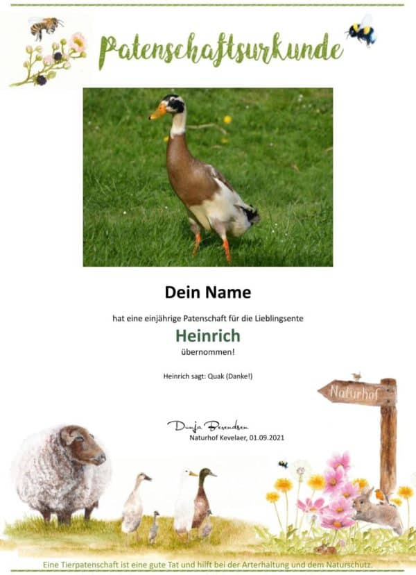 Produkte vom Schaf - Naturhof Kevelaer - Tierpatenschaft Ente