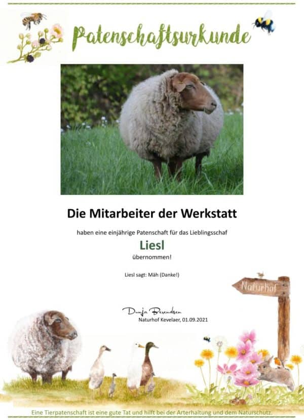 Produkte vom Schaf - Naturhof Kevelaer - Tierpatenschaft Schaf
