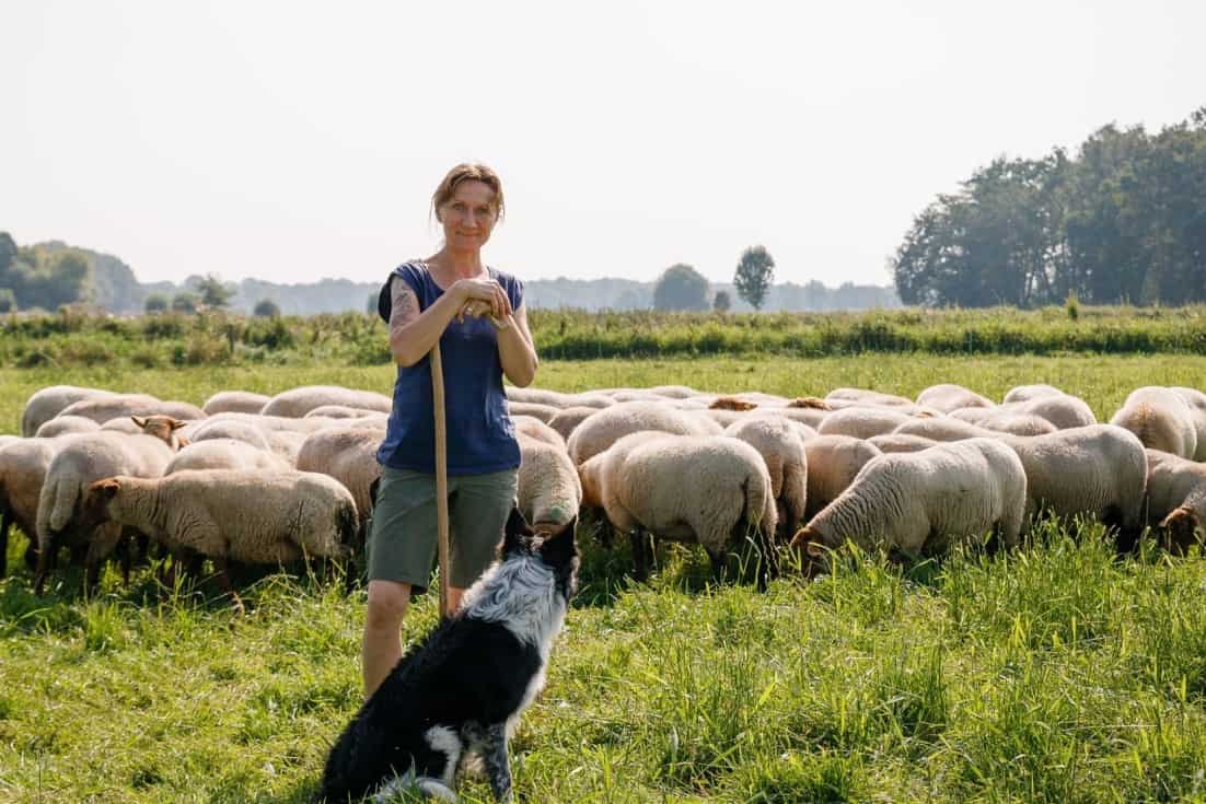 Schäferei Naturhof Kevelaer Dunja Berendsen Land und Lecker Lammfleisch