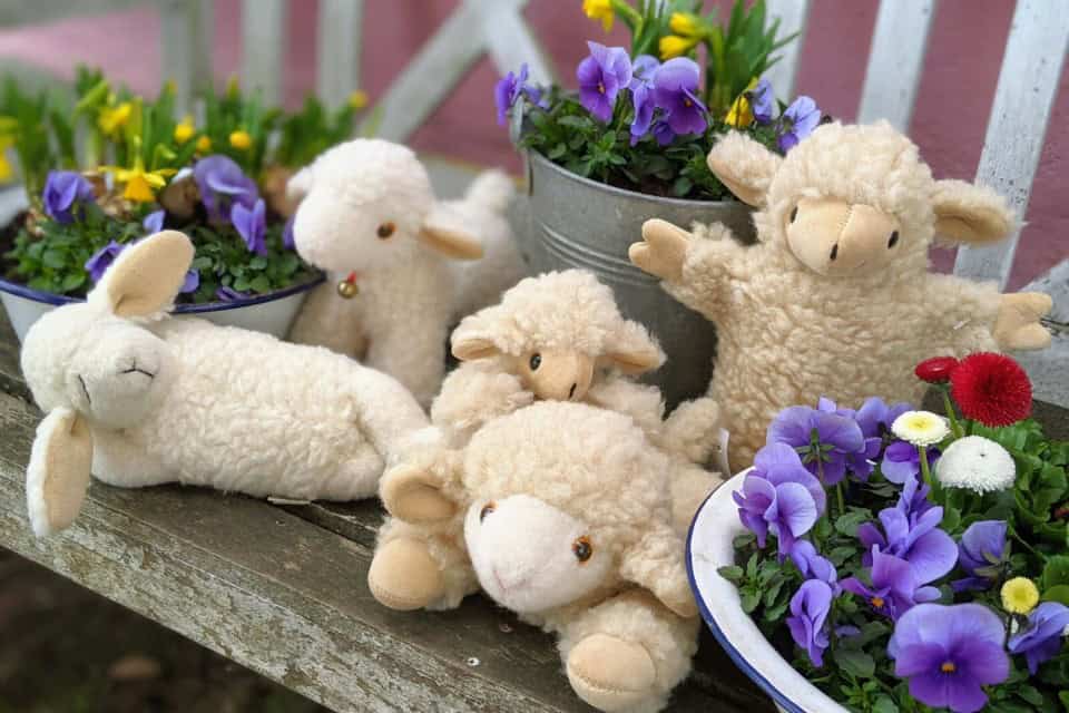 Teaserbild Kuscheltiere