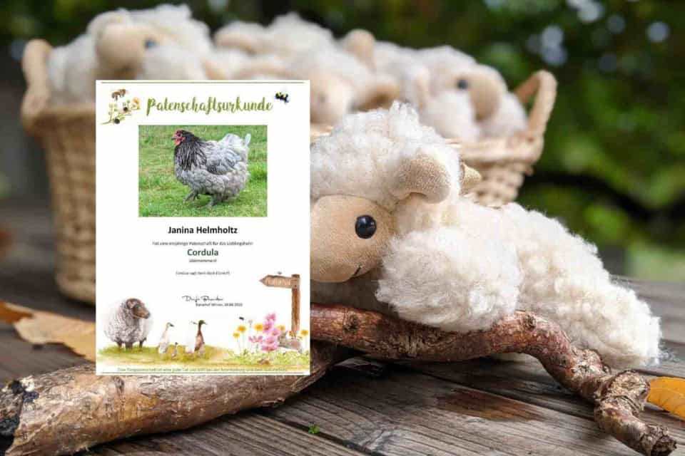 Teaserbild Tierpatenschaften 1