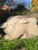 Lämmchen schlafend mit Kischkernkissen aus unserer Wolle auf einer Wiese