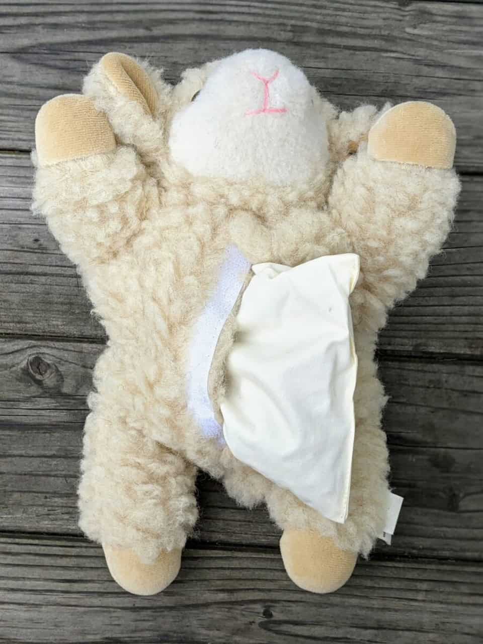 Kirschkernkissen Schaf liegend von unten Klett offen Kirschkernkissen Schaf liegend von unten Klett offen