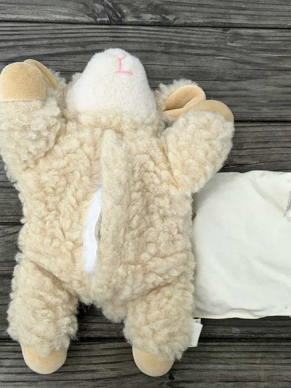 Kirschkernkissen Schaf liegend von unten Kirschkernkissen Schaf liegend von unten