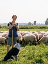Schäferei unterstützen Schafe