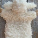 Schaf Handpuppe Zottel von hinten