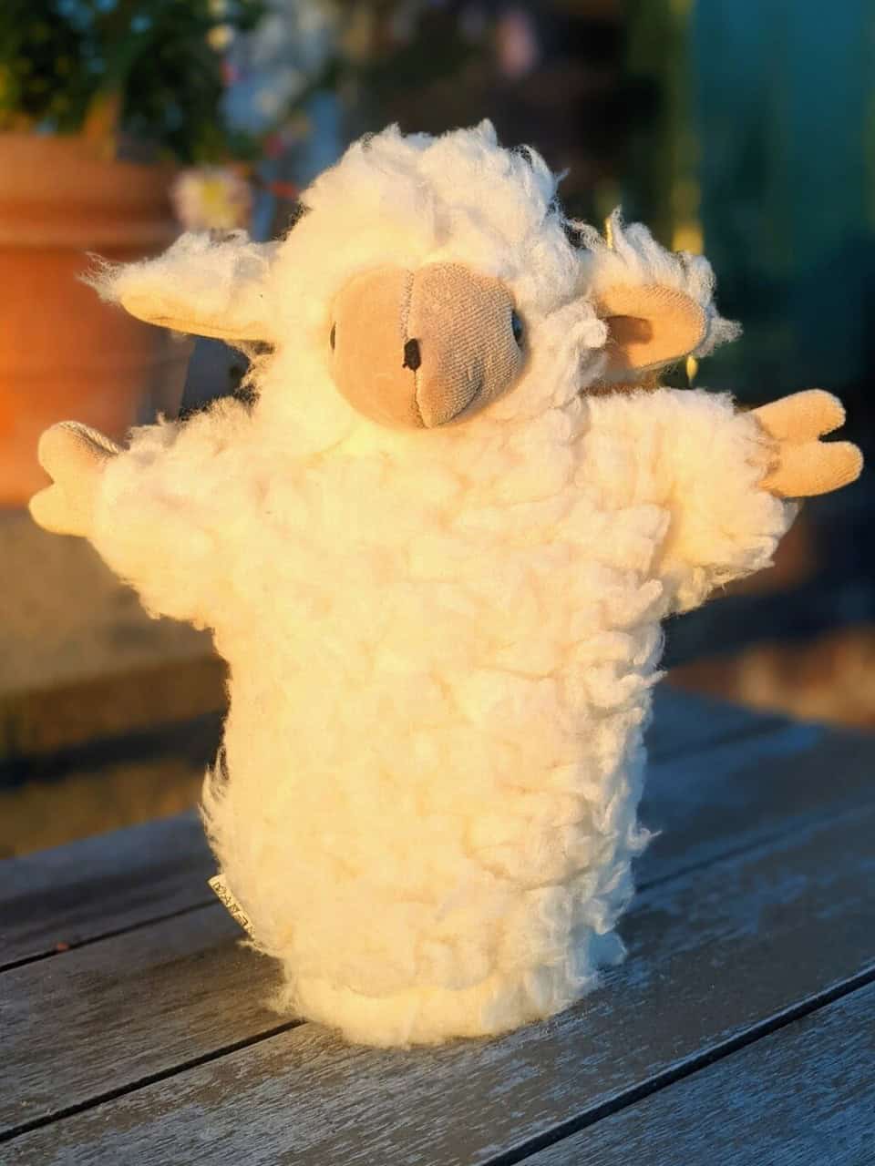 Schaf Handpuppe Zottel von vorne Schaf Handpuppe Zottel von vorne