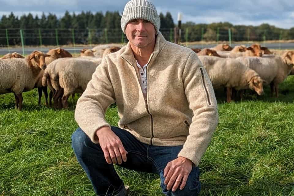 Stehkragenjacke Natur aus Wolle