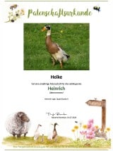 Tierpatenschaft Erpel Heinrich