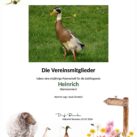 Tierpatenschaft Erpel Heinrich