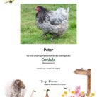 Tierpatenschaft Huhn Cordula