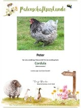 Tierpatenschaft Huhn Cordula