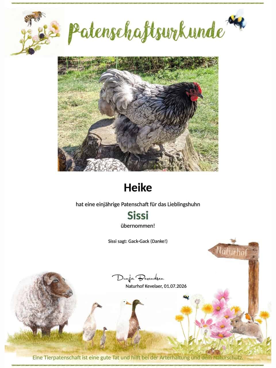 Tierpatenschaft Huhn Sissi Tierpatenschaft Huhn Sissi
