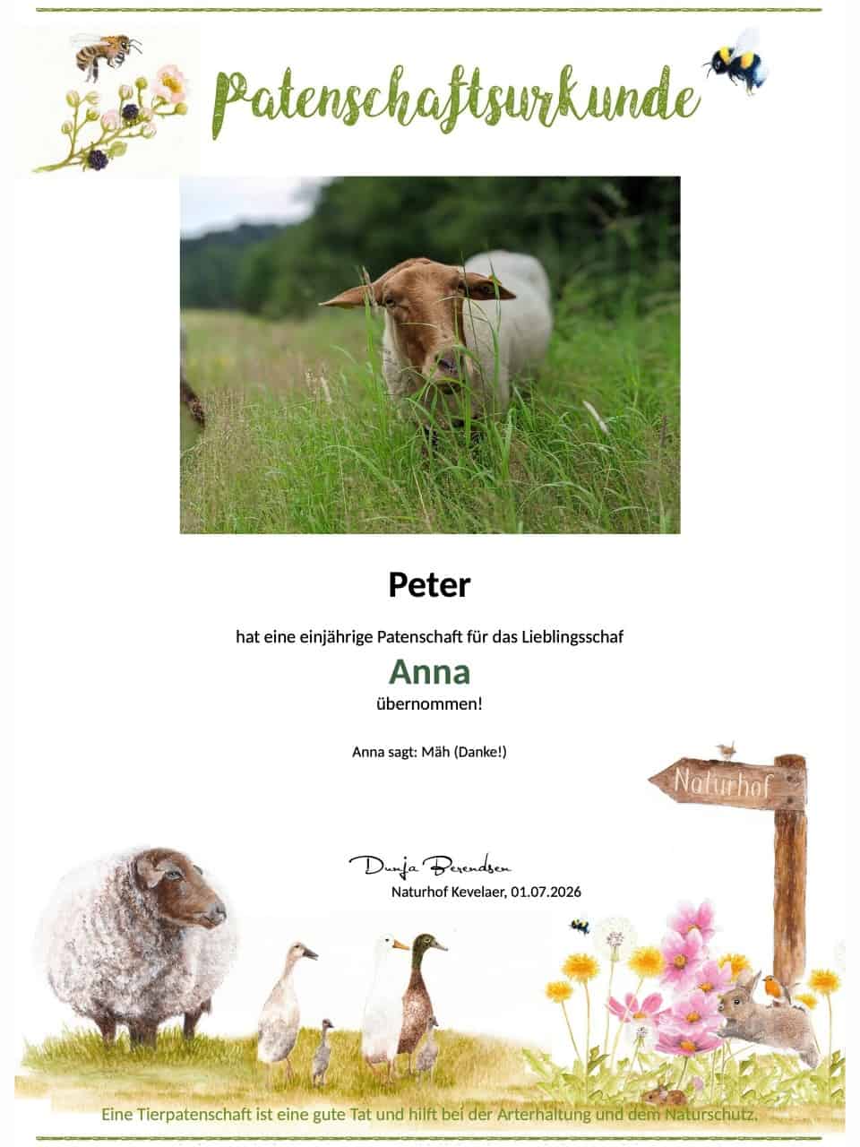 Tierpatenschaft Schaf Anna Tierpatenschaft Schaf Anna