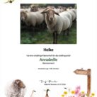 Tierpatenschaft Schaf Annabelle