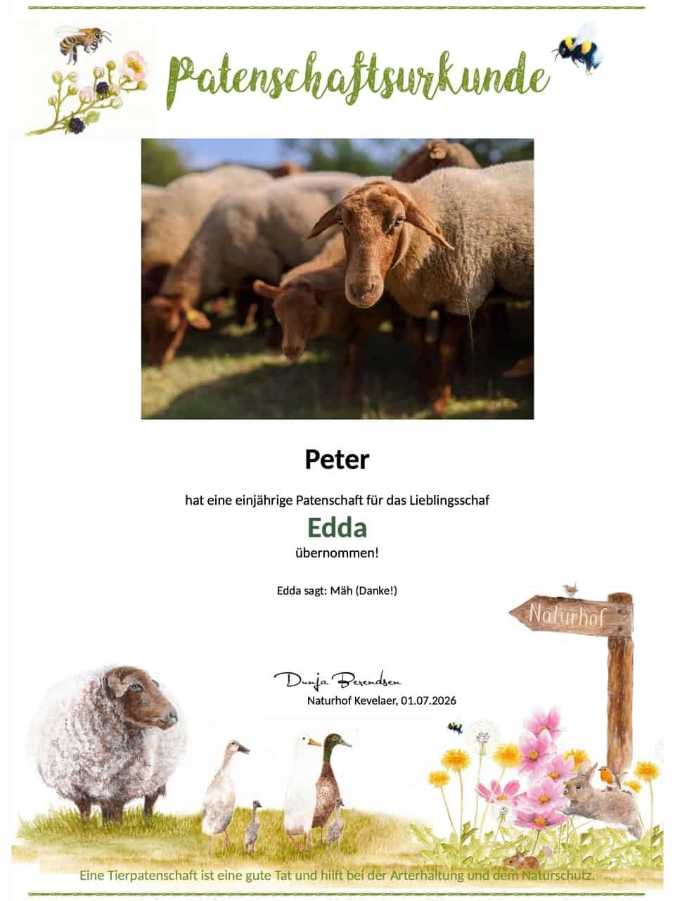 Tierpatenschaft Schaf Edda Tierpatenschaft Schaf Edda