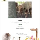 Tierpatenschaft Schaf Grete