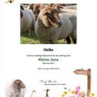 Tierpatenschaft Schaf Kleine Jona