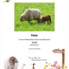 Tierpatenschaft Schaf Leni