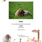 Tierpatenschaft Schaf Lotte