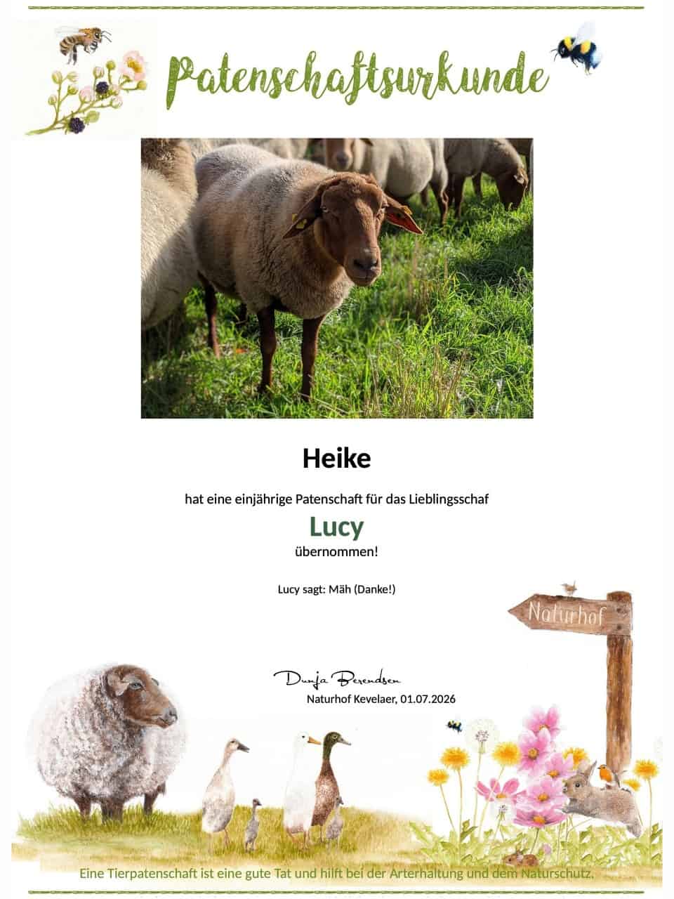 Tierpatenschaft Schaf Lucy Tierpatenschaft Schaf Lucy