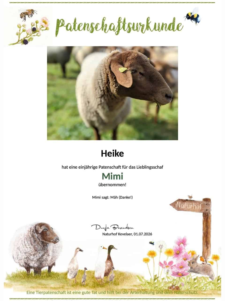 Tierpatenschaft Schaf Mimi Tierpatenschaft Schaf Mimi