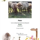 Tierpatenschaft Schaf Ruth