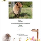 Tierpatenschaft Schaf Suse
