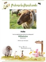 Tierpatenschaft Schaf Wilhelmine